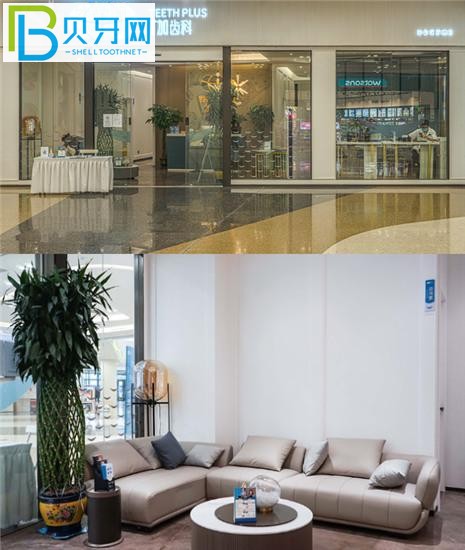 貴陽T加口腔費用