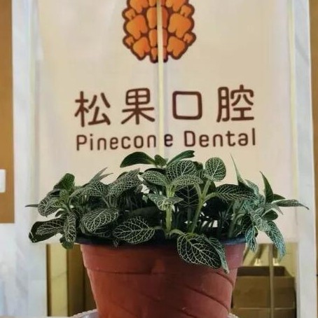 臨沂松果口腔門診部(新東關(guān)店)