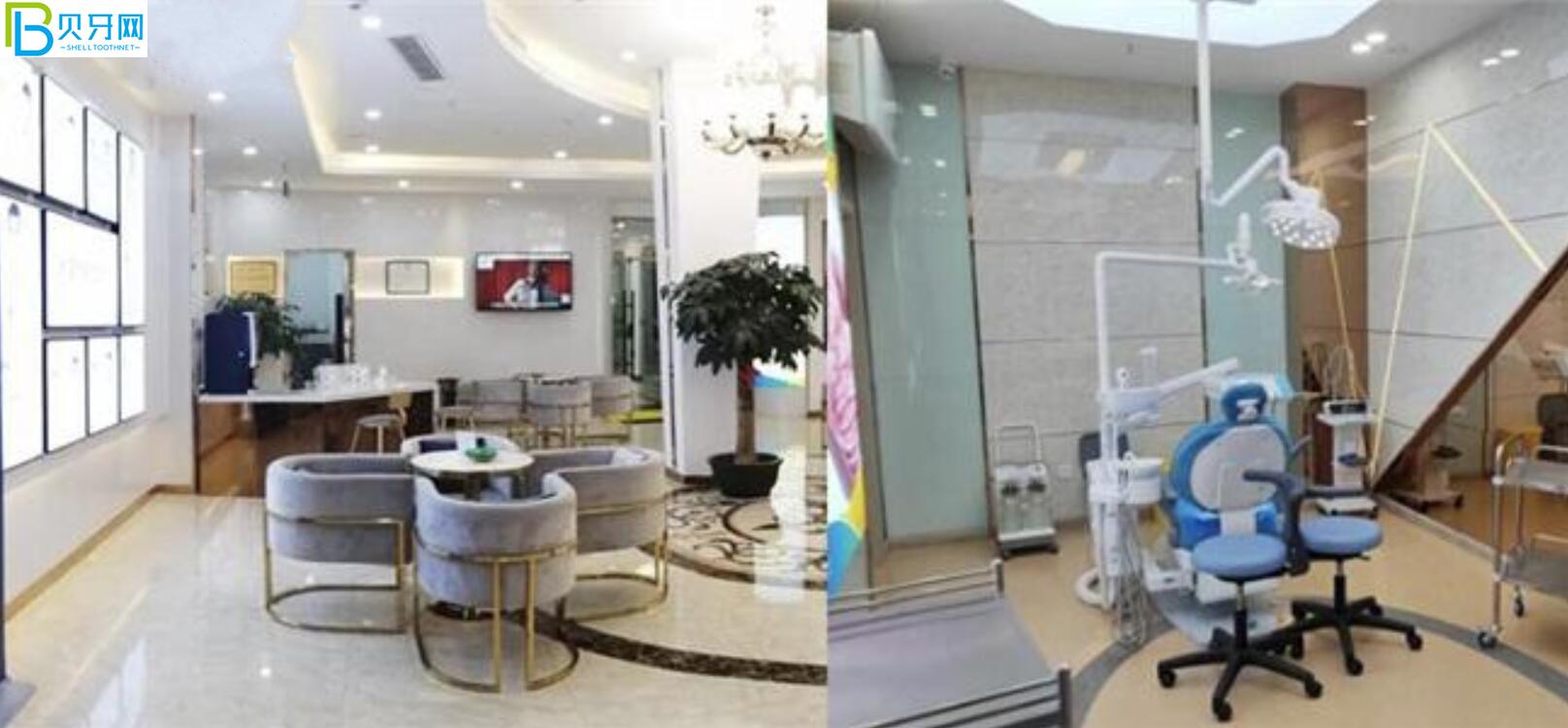 三明瑞爾口腔矯牙好不好?聽金屬矯正才6800元起吸引了我